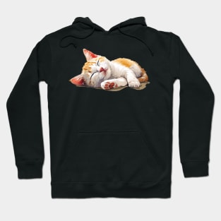 sleeping cat Hoodie